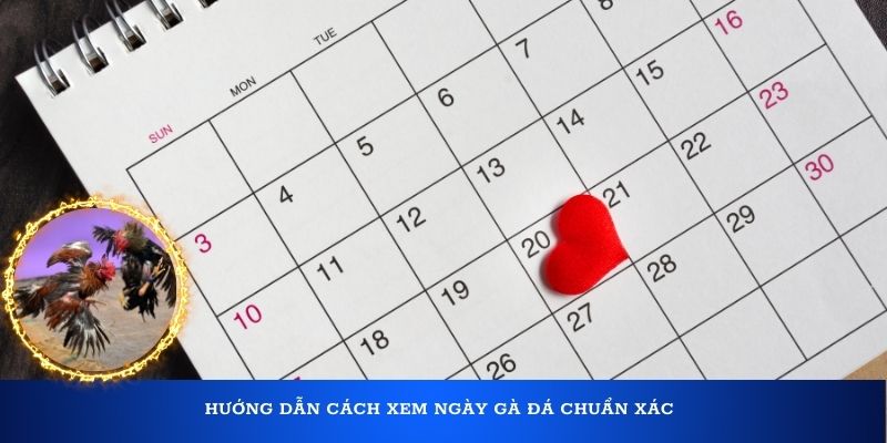 Giới thiệu xem ngày đá gà tại